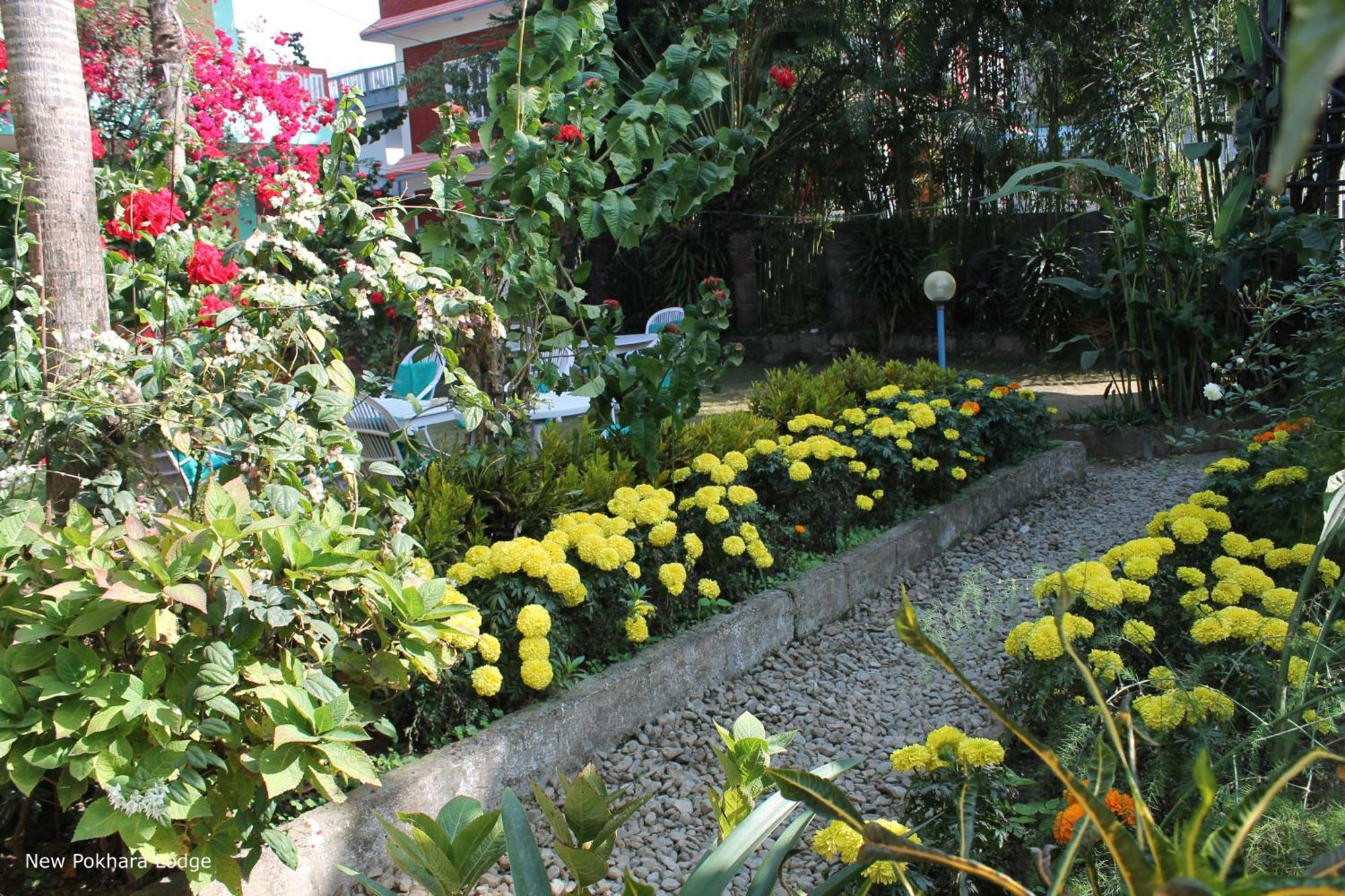 New Pokhara Lodge - Pokhara Lakeside Екстериор снимка